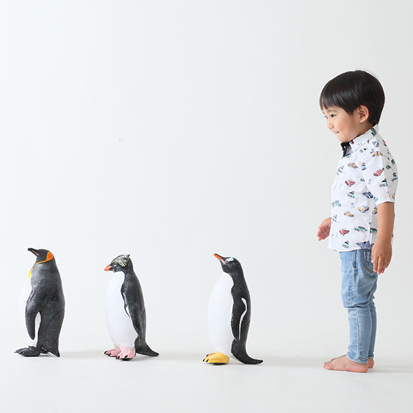 大阪フォトスタジオピエノ:ペンギンと男の子